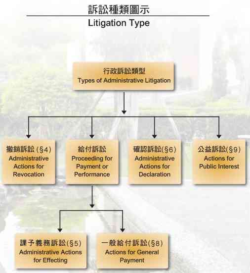 Litigation Type